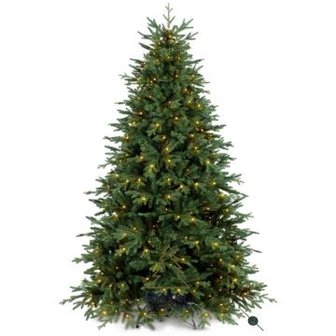 Buitensporig Eentonig ongerustheid Kerstboom met verlichting huren? - breukersverhuur